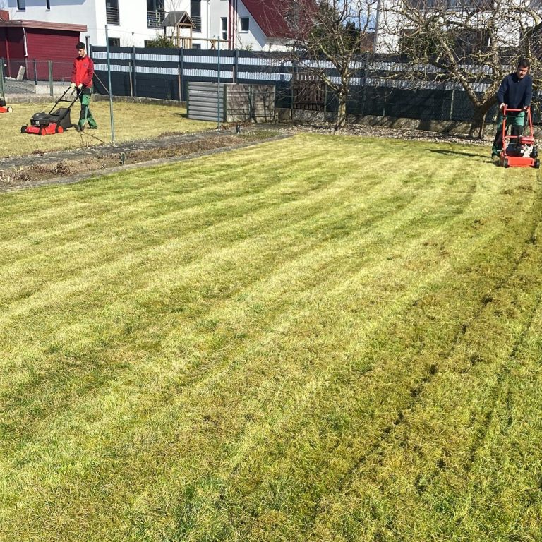 Gartenpflege Peine