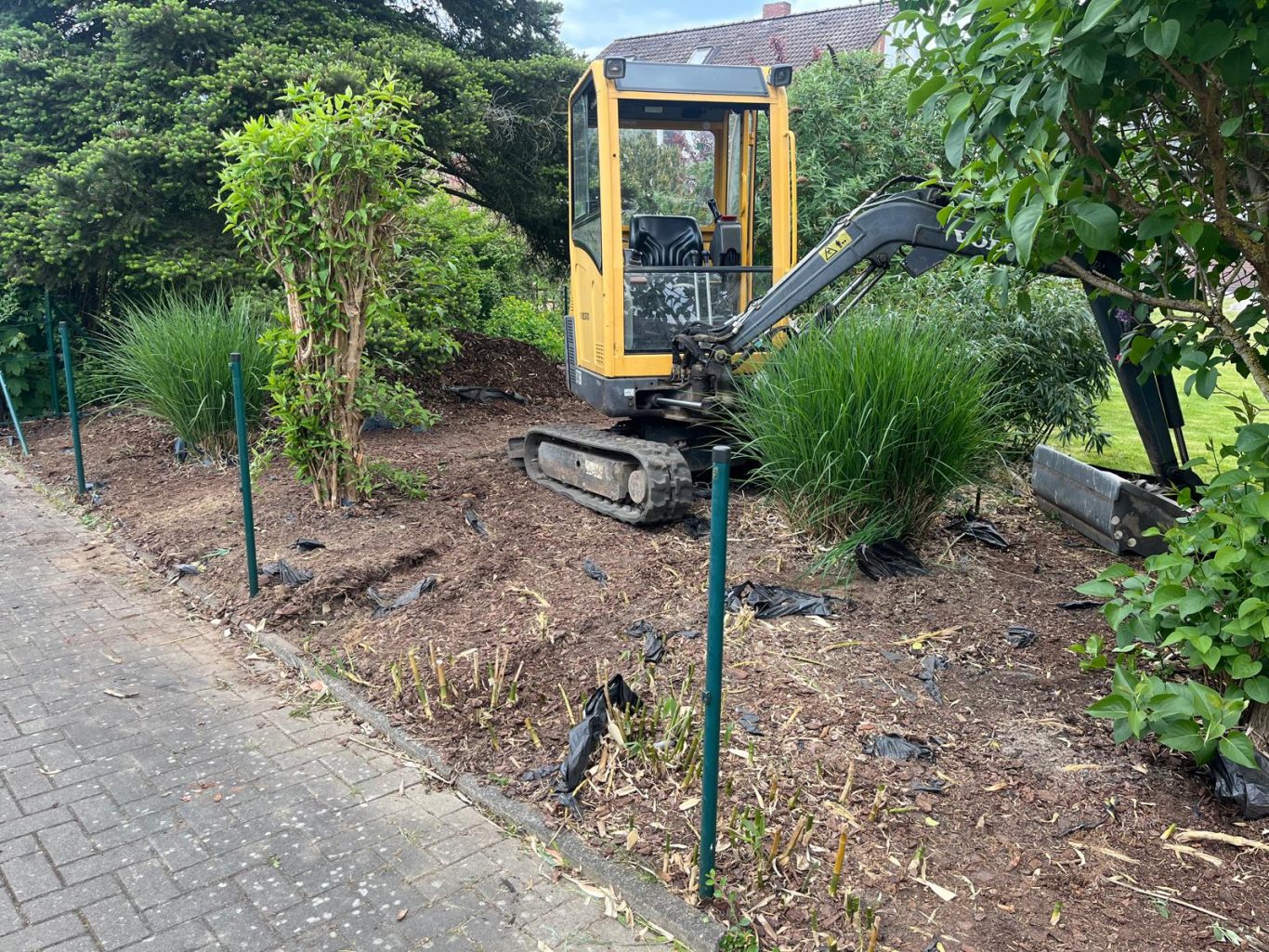 Wurzeln entfernt Beet