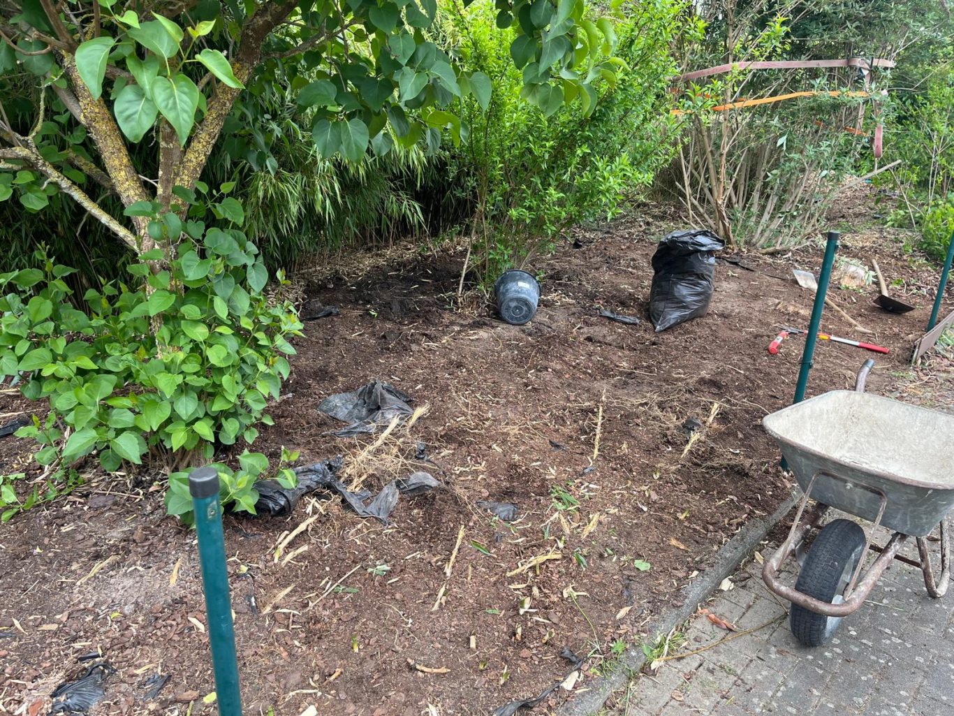 Wurzeln entfernt Beet