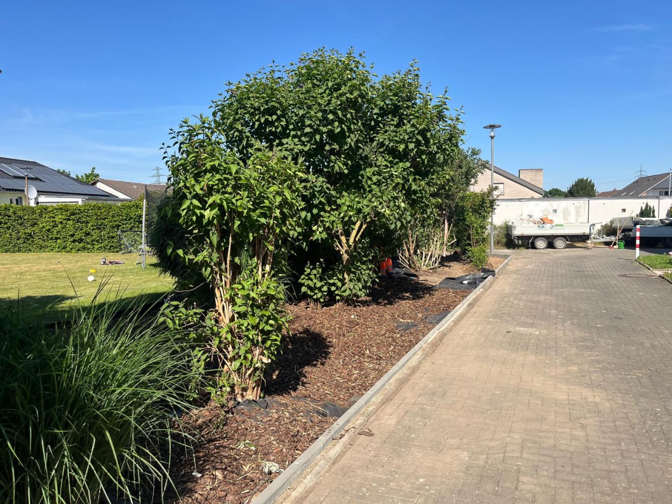 Unkrautfolie verbaut und Rindmulch verteilt Beet Rindmulch