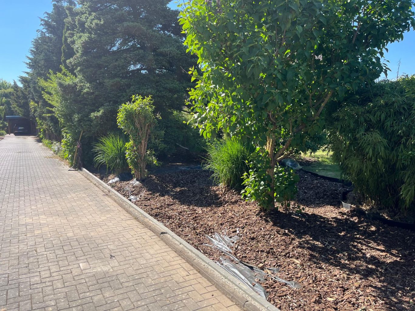 Unkrautfolie verbaut und Rindmulch verteilt Beet Rindmulch